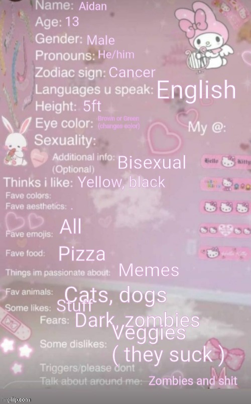 My bio | Aidan; 13; Male; He/him; Cancer; English; 5ft; Brown or Green (changes color); Bisexual; Yellow, black; . . All; Pizza; Memes; Cats, dogs; Stuff; Dark, zombies; Veggies ( they suck ); Zombies and shit | image tagged in this is a template | made w/ Imgflip meme maker