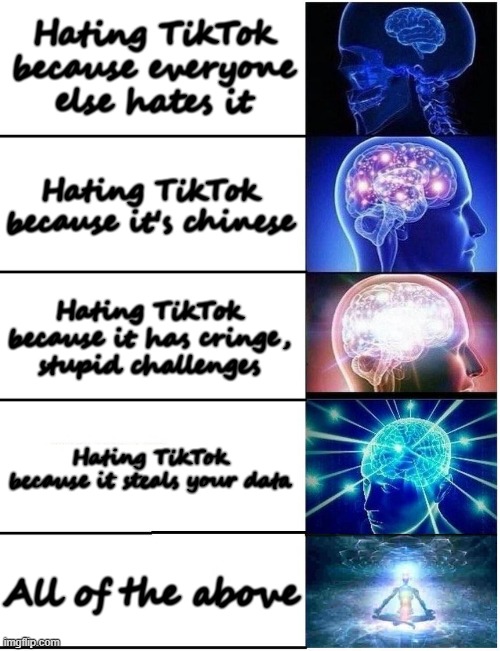 Which one are you? | Hating TikTok because everyone else hates it; Hating TikTok because it's chinese; Hating TikTok because it has cringe, stupid challenges; Hating TikTok because it steals your data; All of the above | image tagged in expanding brain 5 panel,expanding brain,tiktok sucks,imgflip ftw,made in china,stop reading the tags | made w/ Imgflip meme maker