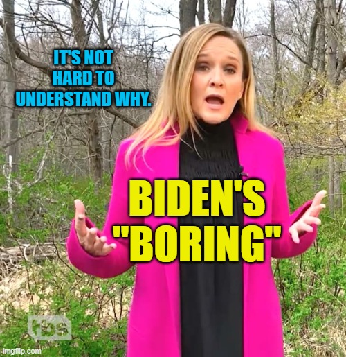 Samantha Bee Whines | IT'S NOT HARD TO UNDERSTAND WHY. BIDEN'S
"BORING" | image tagged in samantha bee whines | made w/ Imgflip meme maker