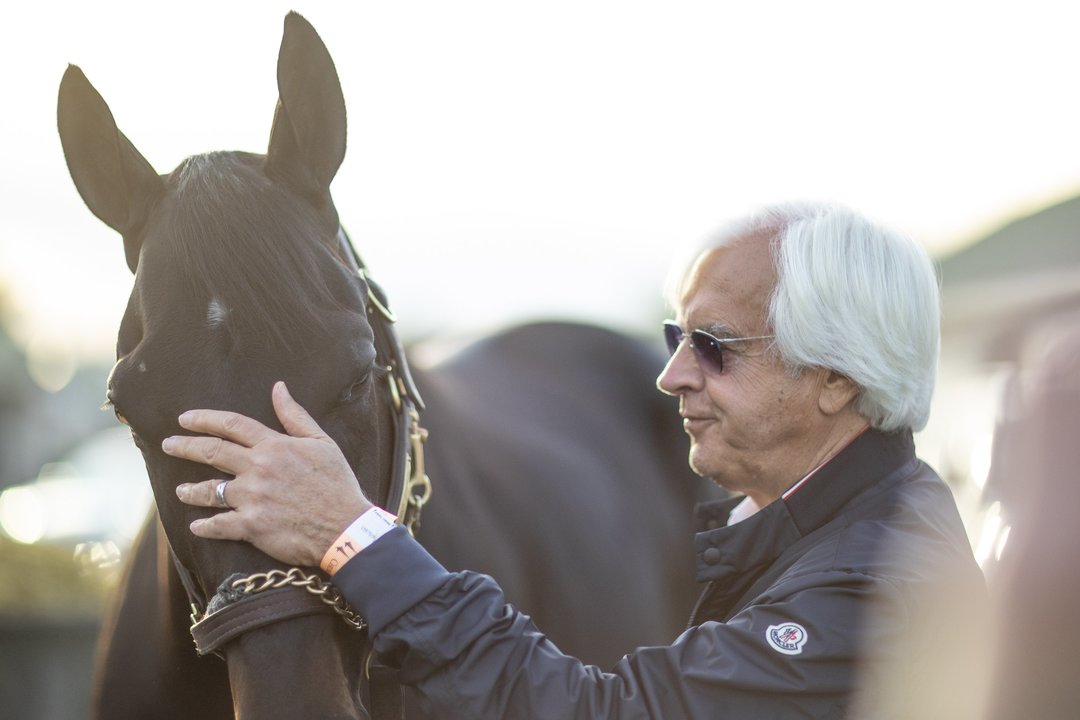 High Quality bob baffert Blank Meme Template