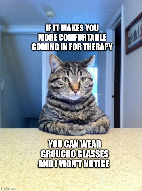 Take A Seat Cat Meme | IF IT MAKES YOU MORE COMFORTABLE COMING IN FOR THERAPY; YOU CAN WEAR GROUCHO GLASSES AND I WON'T NOTICE | image tagged in memes,take a seat cat | made w/ Imgflip meme maker