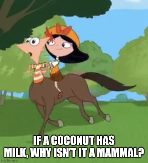 A | IF A COCONUT HAS MILK, WHY ISN’T IT A MAMMAL? | image tagged in isabella riding phineas | made w/ Imgflip meme maker