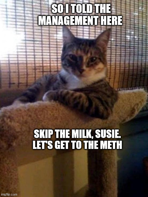 The Most Interesting Cat In The World Meme | SO I TOLD THE MANAGEMENT HERE; SKIP THE MILK, SUSIE. LET'S GET TO THE METH | image tagged in memes,the most interesting cat in the world | made w/ Imgflip meme maker