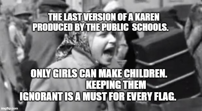 Goodbye Jews! | THE LAST VERSION OF A KAREN PRODUCED BY THE PUBLIC  SCHOOLS. ONLY GIRLS CAN MAKE CHILDREN.                   KEEPING THEM IGNORANT IS A MUST FOR EVERY FLAG. | image tagged in goodbye jews | made w/ Imgflip meme maker