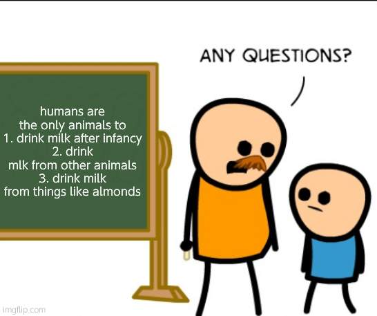 Any questions | humans are the only animals to
1. drink milk after infancy
2. drink mlk from other animals
3. drink milk from things like almonds | image tagged in any questions | made w/ Imgflip meme maker