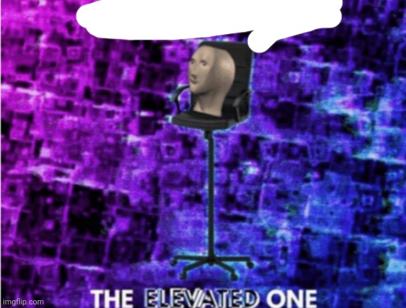 Do not question the elevated one | image tagged in do not question the elevated one | made w/ Imgflip meme maker