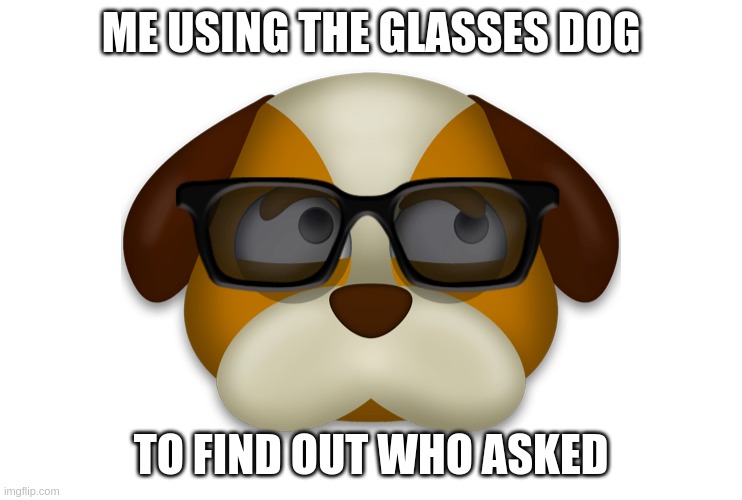 Dog with glasses | ME USING THE GLASSES DOG TO FIND OUT WHO ASKED | image tagged in dog with glasses | made w/ Imgflip meme maker