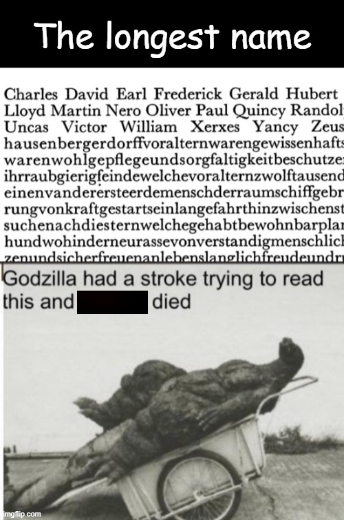 stroke name |  The longest name | image tagged in godzilla,name,longest name,stroke,godzilla had a stroke trying to read this and fricking died,stop reading the tags | made w/ Imgflip meme maker