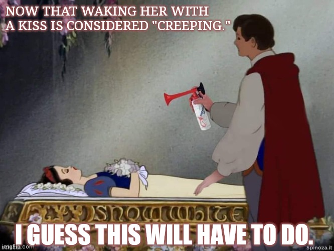 True Love's kiss denied | NOW THAT WAKING HER WITH A KISS IS CONSIDERED "CREEPING."; I GUESS THIS WILL HAVE TO DO. | image tagged in snow white | made w/ Imgflip meme maker