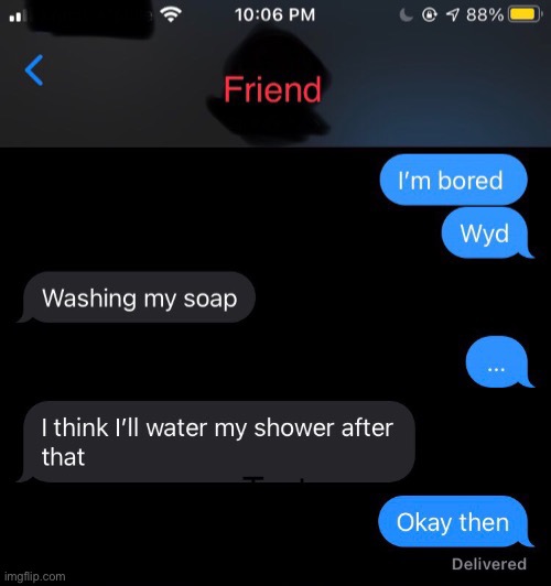 No one:  my friend: I’m washing the soap and watering the shower | image tagged in weirdo,friends | made w/ Imgflip meme maker
