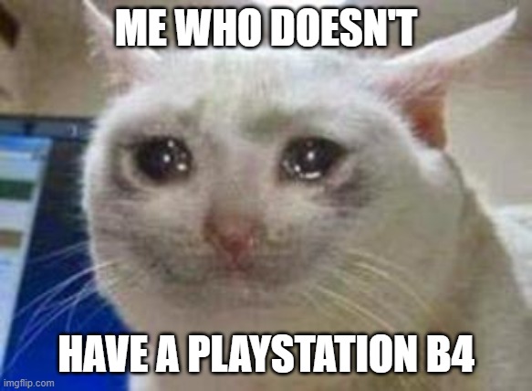 Sad cat | ME WHO DOESN'T HAVE A PLAYSTATION B4 | image tagged in sad cat | made w/ Imgflip meme maker