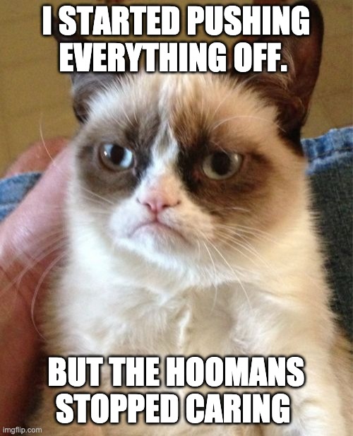 Grumpy Cat Meme | I STARTED PUSHING EVERYTHING OFF. BUT THE HOOMANS STOPPED CARING | image tagged in memes,grumpy cat | made w/ Imgflip meme maker