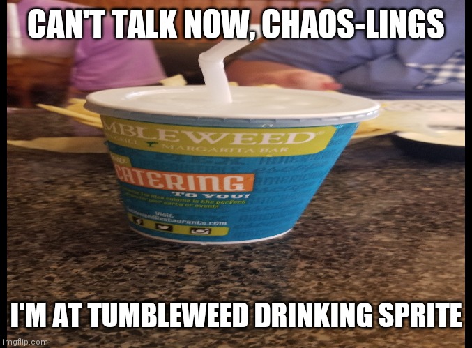 CAN'T TALK NOW, CHAOS-LINGS; I'M AT TUMBLEWEED DRINKING SPRITE | made w/ Imgflip meme maker
