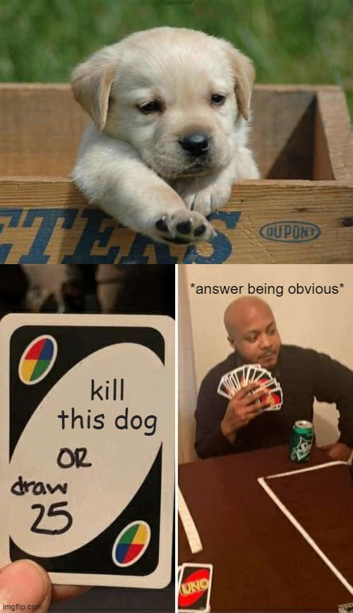 Choose the draw 25. Better choice | *answer being obvious*; kill this dog | image tagged in memes,uno draw 25 cards | made w/ Imgflip meme maker