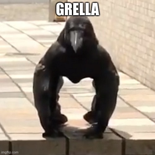 Grella | GRELLA | image tagged in gorilla,memes,funny memes,fun,monkey,hybrid | made w/ Imgflip meme maker
