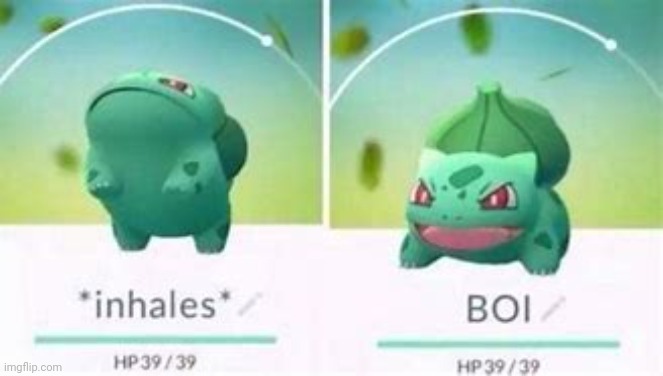 Don't even ask | image tagged in pokemon,bulbasaur,breathe in boi | made w/ Imgflip meme maker