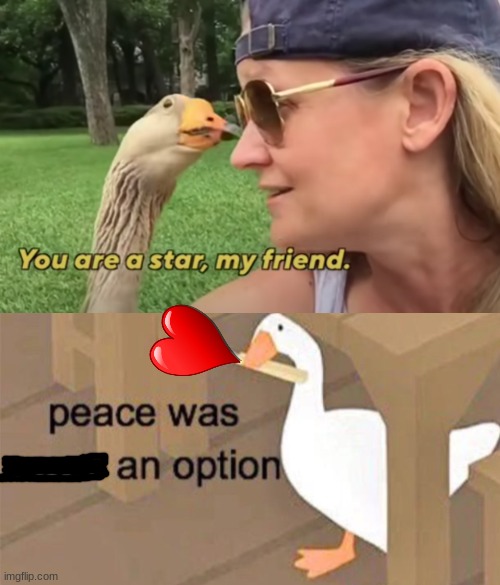 this is the best think i have seen all day | image tagged in untitled goose peace was never an option | made w/ Imgflip meme maker