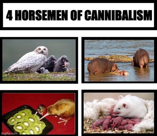 lol | 4 HORSEMEN OF CANNIBALISM | image tagged in 4 horsemen of,cannibalism,memes,funny,gifs | made w/ Imgflip meme maker