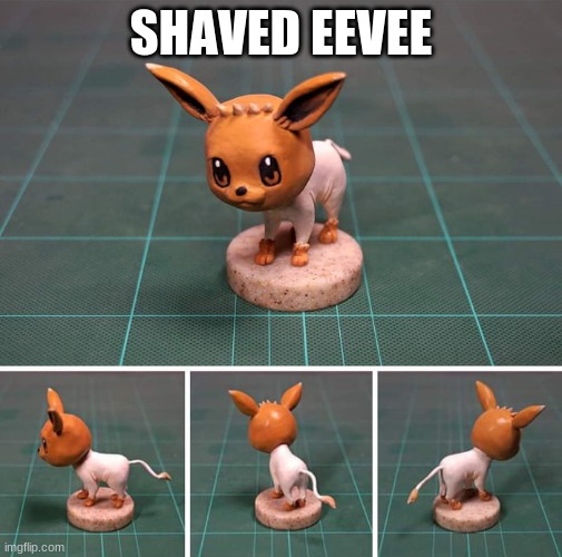 The Shaved Eevee | SHAVED EEVEE | image tagged in shaved eevee | made w/ Imgflip meme maker