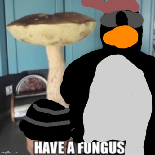 have a fungus | image tagged in have a fungus | made w/ Imgflip meme maker