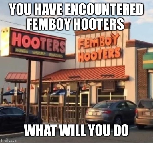 YOU HAVE ENCOUNTERED FEMBOY HOOTERS; WHAT WILL YOU DO | made w/ Imgflip meme maker