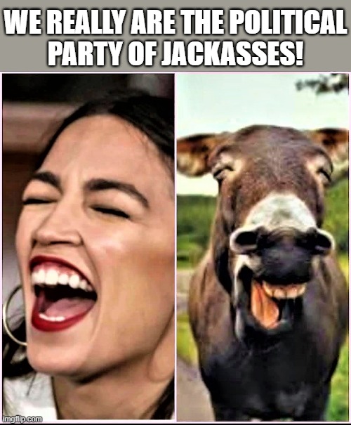 aoc is a jackass |  WE REALLY ARE THE POLITICAL
PARTY OF JACKASSES! | image tagged in political humor,aoc,laughing donkey,democrat donkey,jackass,democrat party | made w/ Imgflip meme maker