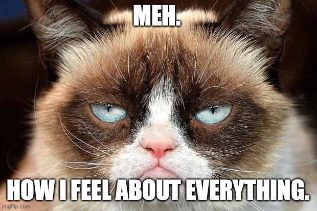 Grumpy Cat Not Amused | MEH. HOW I FEEL ABOUT EVERYTHING. | image tagged in memes,grumpy cat not amused,grumpy cat | made w/ Imgflip meme maker