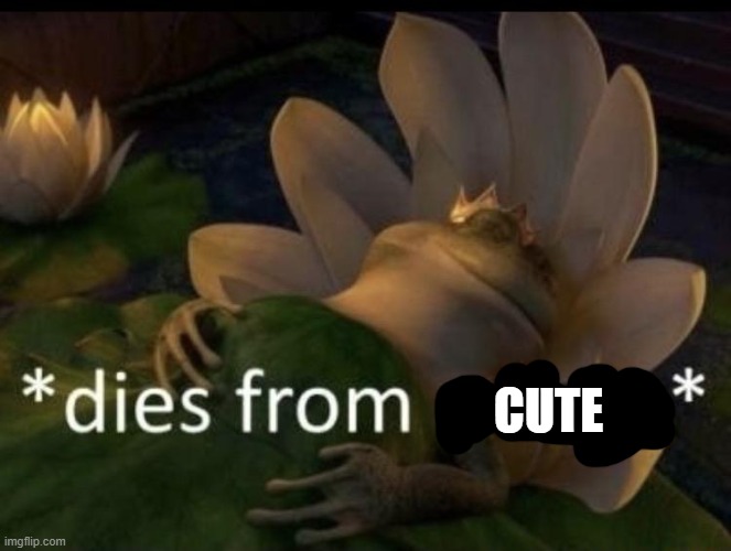 Dies from cringe | CUTE | image tagged in dies from cringe | made w/ Imgflip meme maker