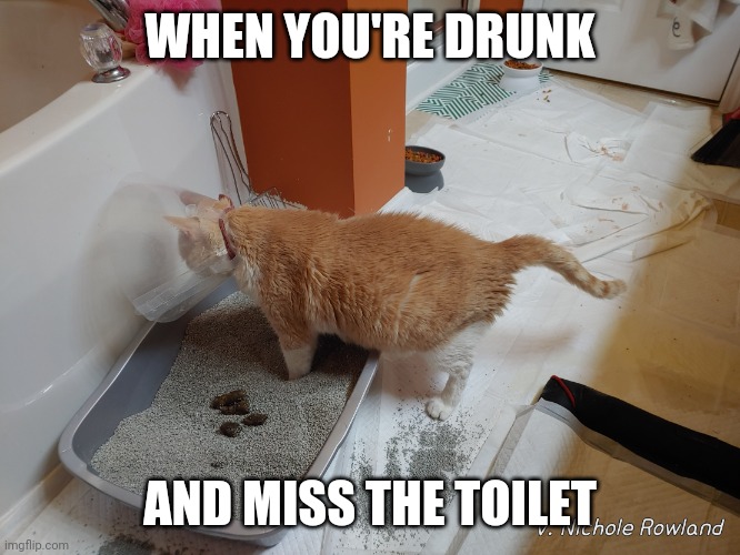 Wrong Way | WHEN YOU'RE DRUNK; AND MISS THE TOILET | image tagged in lampshade litterbox failure | made w/ Imgflip meme maker