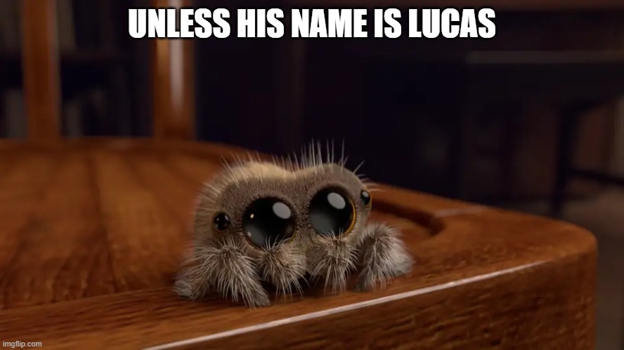 Lucas the Spider | UNLESS HIS NAME IS LUCAS | image tagged in lucas the spider | made w/ Imgflip meme maker