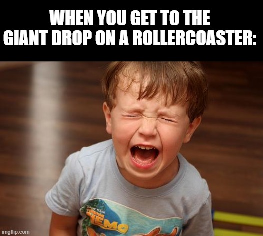 Just hold on for dear life! | WHEN YOU GET TO THE GIANT DROP ON A ROLLERCOASTER: | image tagged in screamingkid,rollercoaster,memes | made w/ Imgflip meme maker