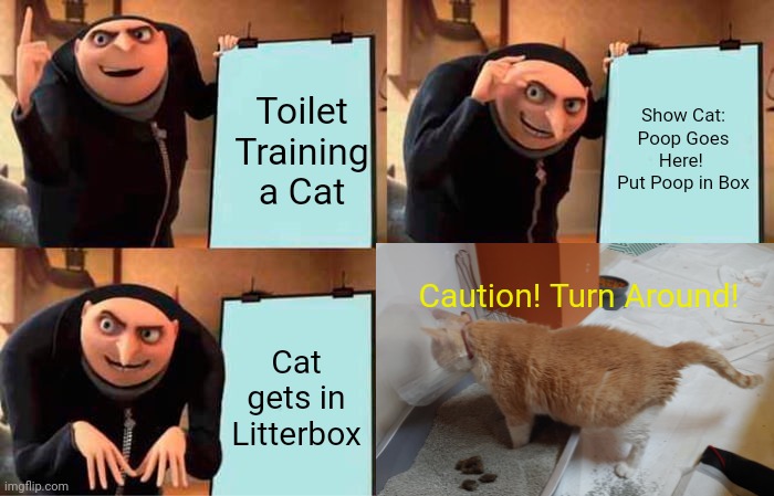 Litter Box Training for Dummies | Toilet Training a Cat; Show Cat:
Poop Goes Here! 
Put Poop in Box; Caution! Turn Around! Cat gets in Litterbox | image tagged in failure | made w/ Imgflip meme maker