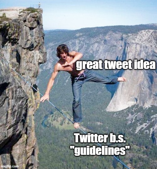 Twitter/Social Media censorship | great tweet idea; Twitter b.s. "guidelines" | image tagged in dangerous social media censors | made w/ Imgflip meme maker