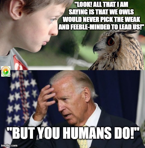 political | "LOOK! ALL THAT I AM SAYING IS THAT WE OWLS WOULD NEVER PICK THE WEAK AND FEEBLE-MINDED TO LEAD US!"; "BUT YOU HUMANS DO!" | image tagged in political meme | made w/ Imgflip meme maker