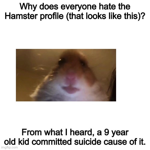 Idk | Why does everyone hate the Hamster profile (that looks like this)? From what I heard, a 9 year old kid committed suicide cause of it. | image tagged in memes,blank transparent square | made w/ Imgflip meme maker