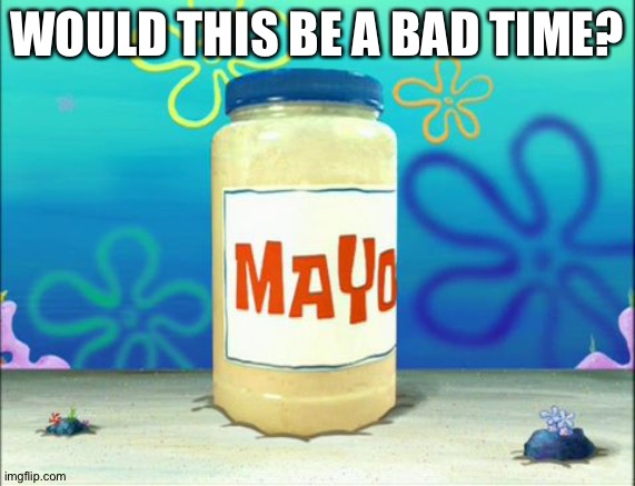 Mayonnaise | WOULD THIS BE A BAD TIME? | image tagged in mayonnaise | made w/ Imgflip meme maker