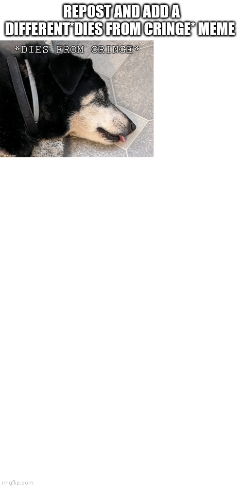 Repost | REPOST AND ADD A DIFFERENT*DIES FROM CRINGE* MEME | image tagged in memes,blank transparent square | made w/ Imgflip meme maker