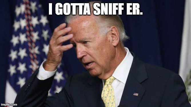 Joe Biden worries | I GOTTA SNIFF ER. | image tagged in joe biden worries | made w/ Imgflip meme maker