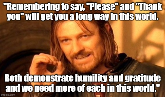 Sean Bean Manners meme - "Remembering to say, "Please and thank you" will get you a long way in this world." | "Remembering to say, "Please" and "Thank you" will get you a long way in this world. Both demonstrate humility and gratitude and we need more of each in this world." | image tagged in memes,game of thrones,sean bean,manners,please and thank you,polite | made w/ Imgflip meme maker