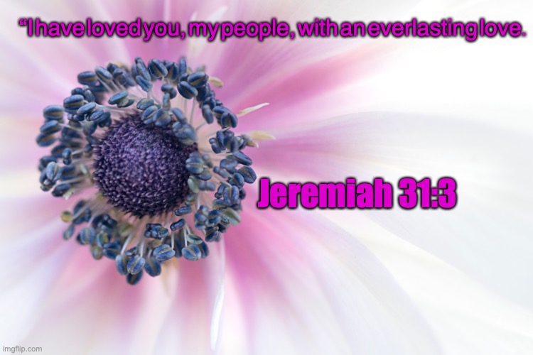 The Beloved | “I have loved you, my people, with an everlasting love. Jeremiah 31:3 | image tagged in israel,judah,holy land,promised land | made w/ Imgflip meme maker