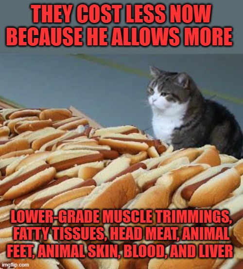 Too many hot dogs | THEY COST LESS NOW BECAUSE HE ALLOWS MORE LOWER-GRADE MUSCLE TRIMMINGS, FATTY TISSUES, HEAD MEAT, ANIMAL FEET, ANIMAL SKIN, BLOOD, AND LIVER | image tagged in too many hot dogs | made w/ Imgflip meme maker