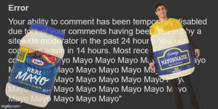 Mayo censorship | image tagged in mayo censorship | made w/ Imgflip meme maker
