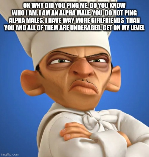 alpah male | OK WHY DID YOU PING ME. DO YOU KNOW WHO I AM. I AM AN ALPHA MALE. YOU  DO NOT PING ALPHA MALES. I HAVE WAY MORE GIRLFRIENDS  THAN YOU AND ALL OF THEM ARE UNDERAGED. GET ON MY LEVEL | image tagged in chef | made w/ Imgflip meme maker