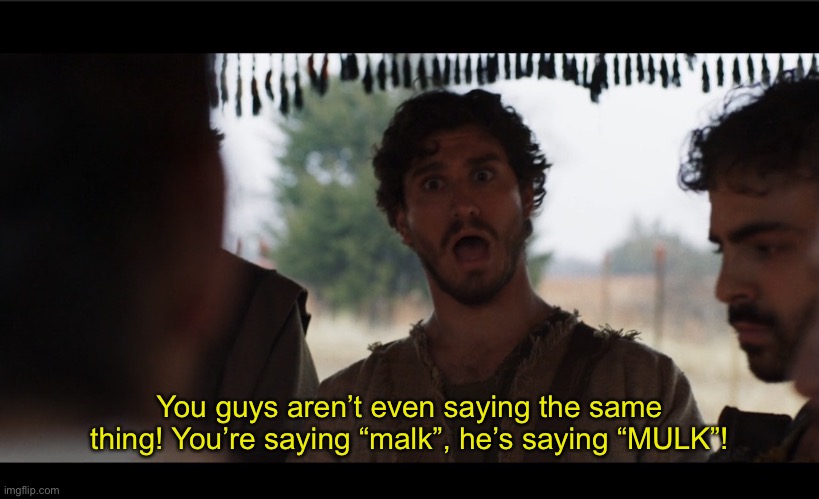 Wrong Captions, Part 2 | You guys aren’t even saying the same thing! You’re saying “malk”, he’s saying “MULK”! | image tagged in the chosen | made w/ Imgflip meme maker