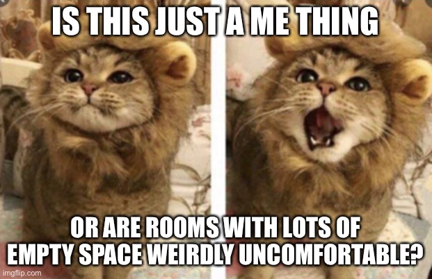 Very cute | IS THIS JUST A ME THING; OR ARE ROOMS WITH LOTS OF EMPTY SPACE WEIRDLY UNCOMFORTABLE? | image tagged in very cute | made w/ Imgflip meme maker