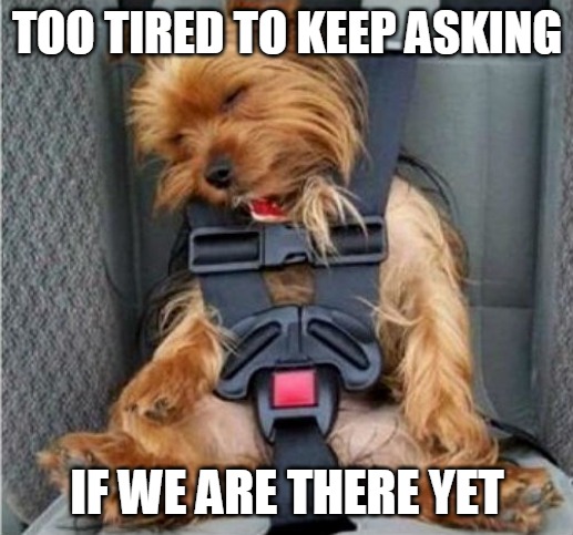 TOO TIRED TO KEEP ASKING; IF WE ARE THERE YET | image tagged in memes,dog,dogs | made w/ Imgflip meme maker