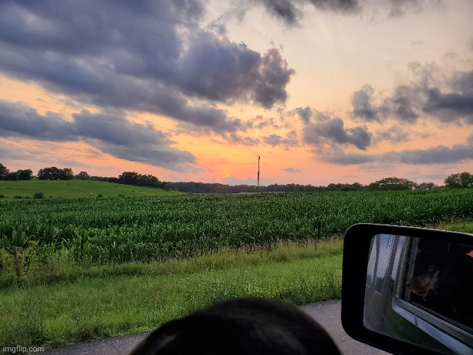 Sunset over cornfield in Missouri 7-2-21 | image tagged in country,sunset,dogs,photo,jeep | made w/ Imgflip meme maker