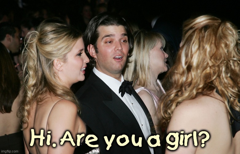 Rough night, matey! | Hi. Are you a girl? | image tagged in donald high at a party,donald trump,high,party animal | made w/ Imgflip meme maker