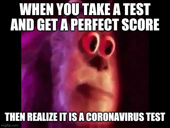 2021 is still crap | WHEN YOU TAKE A TEST AND GET A PERFECT SCORE; THEN REALIZE IT IS A CORONAVIRUS TEST | image tagged in sully groan | made w/ Imgflip meme maker