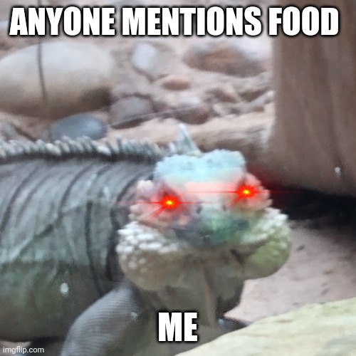 I am weird | ANYONE MENTIONS FOOD; ME | image tagged in food | made w/ Imgflip meme maker